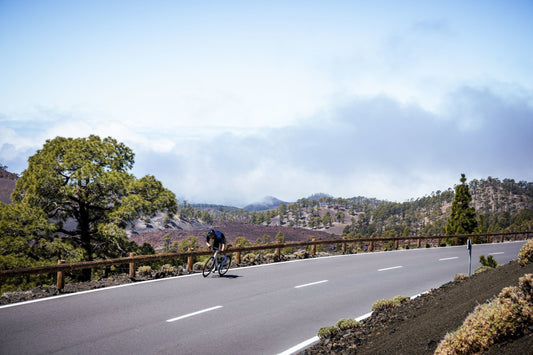 Solo cyclist climbing a winding mountain road with pine trees and misty hills