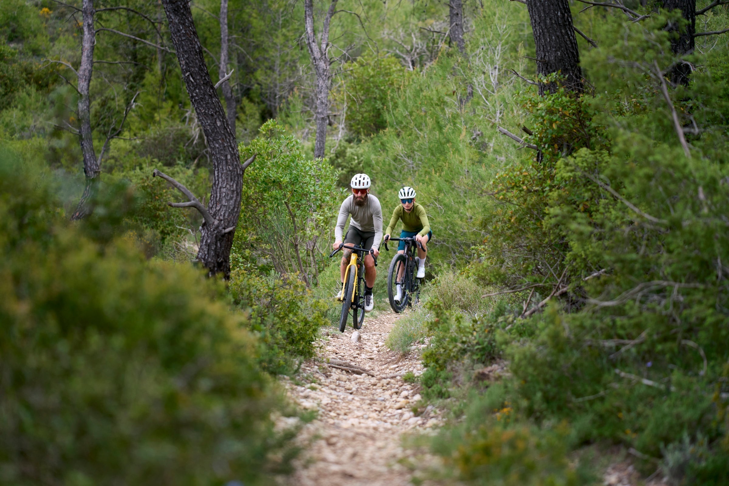 Two cyclists on a trail through a forest
