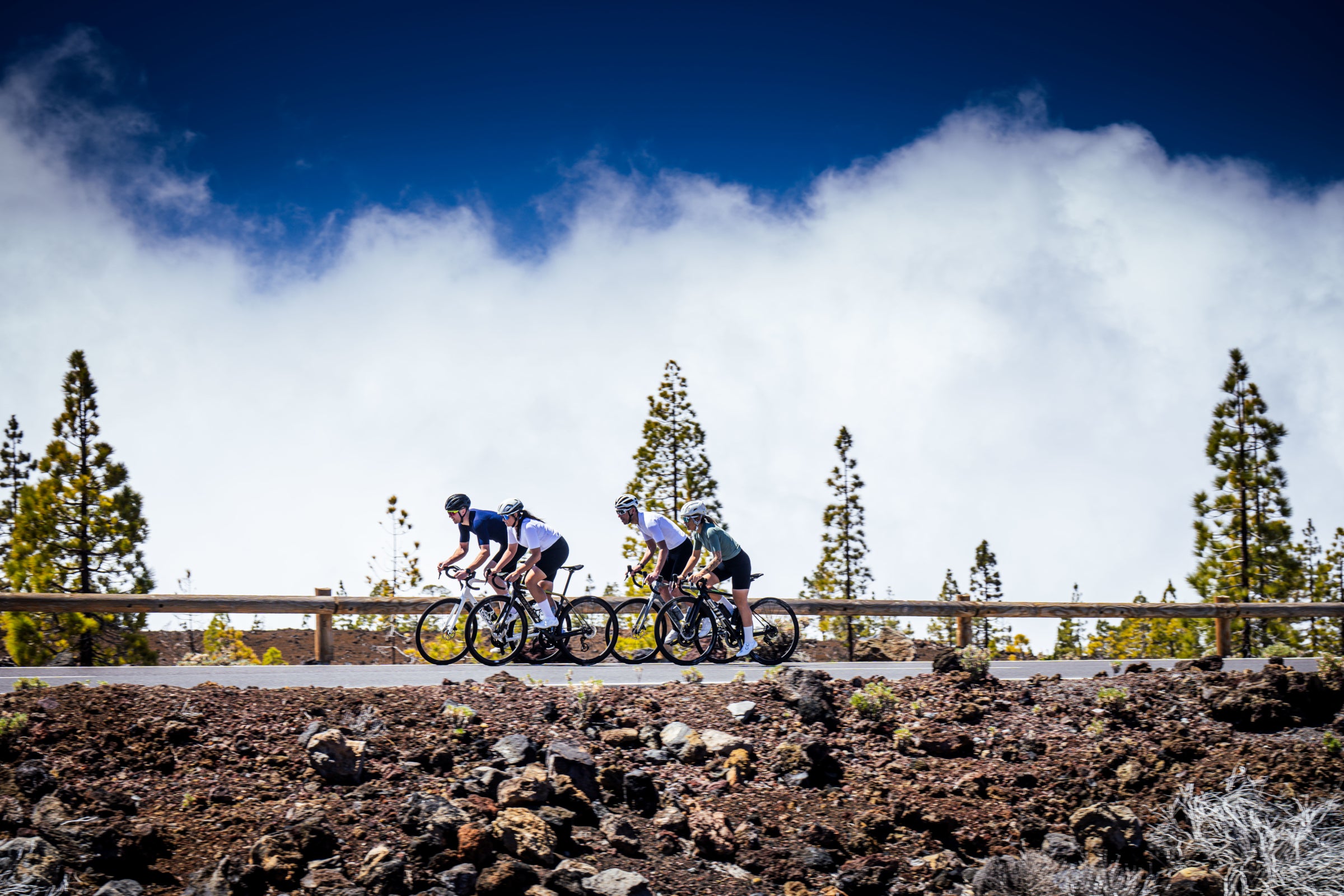Four cyclists riding through a mountain landscape