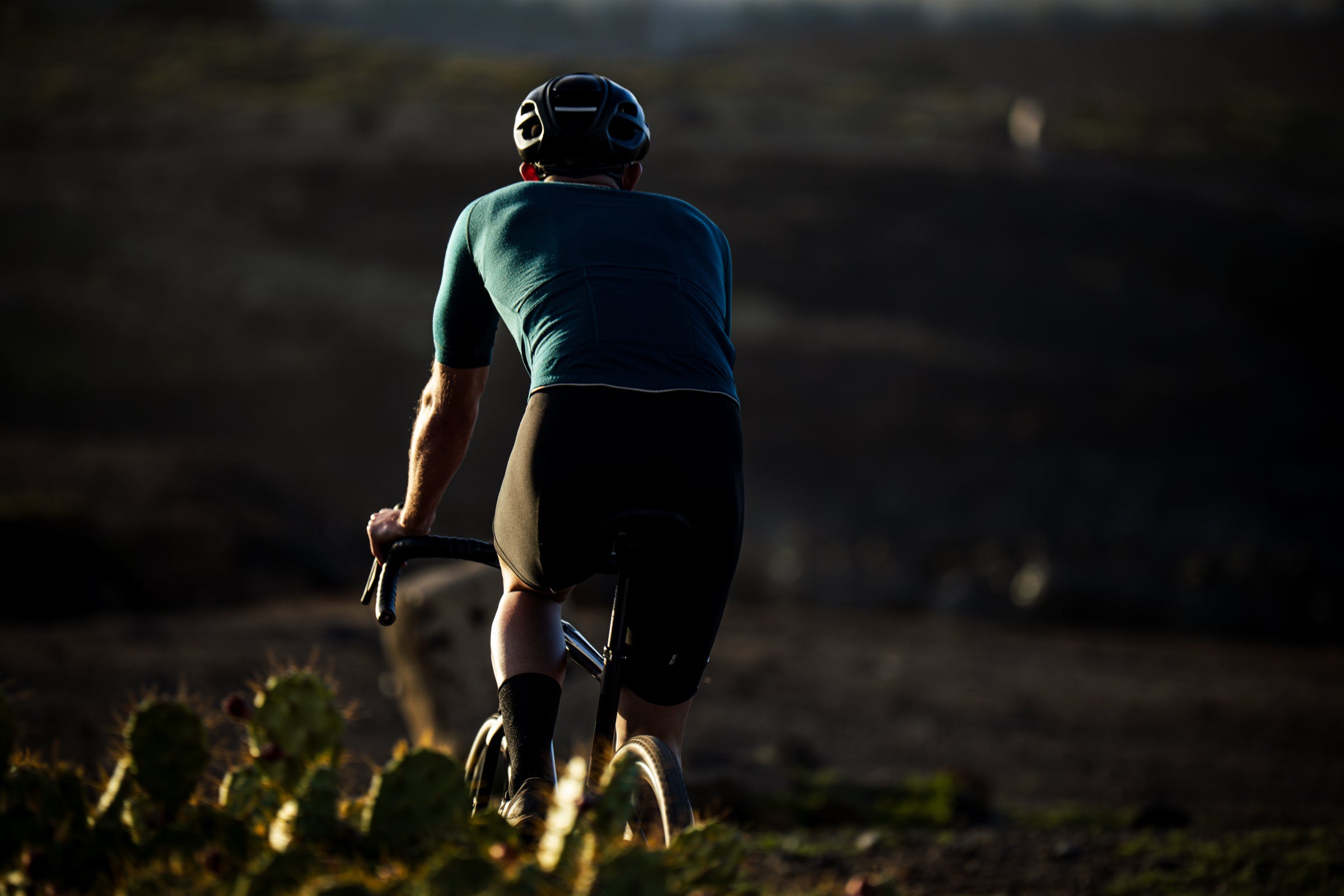 Cyclist riding on a trail at sunset, viewed from behind