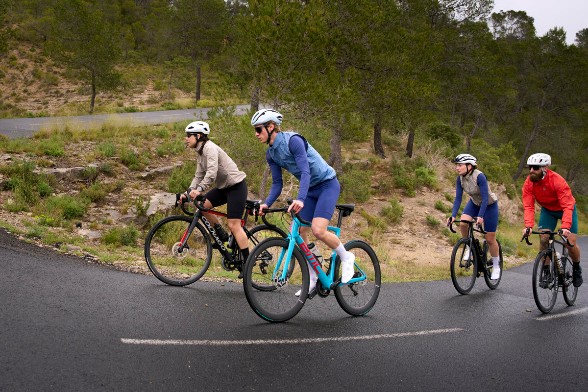 Four cyclists riding on a paved road through a wooded region