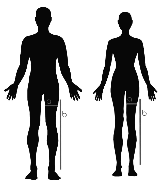 Measurement guide
