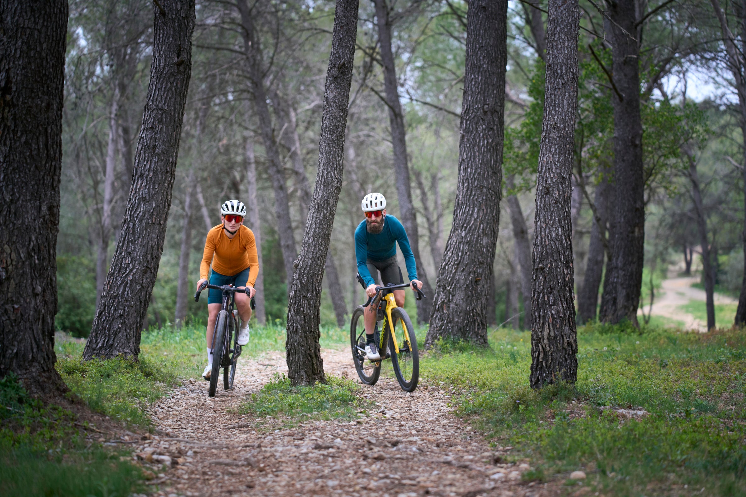 Two cyclists riding on a forest path